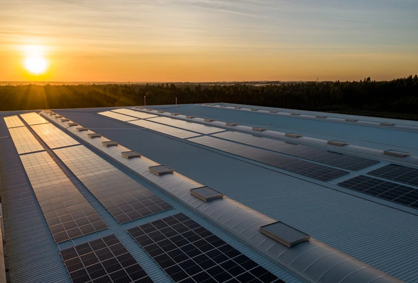 Solar PV panels installed on a rooftop array